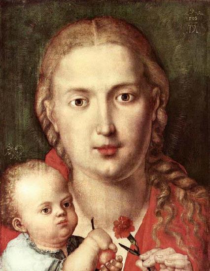 Albrecht Durer The Madonna of the Carnation China oil painting art